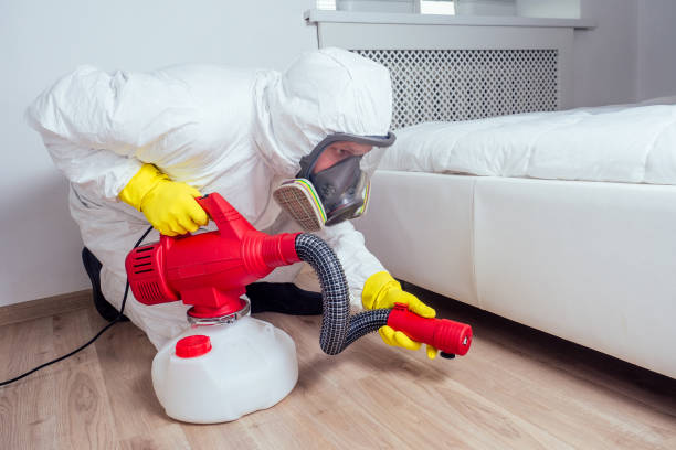 Best Rat Extermination Near Me  in Manhattan, KS