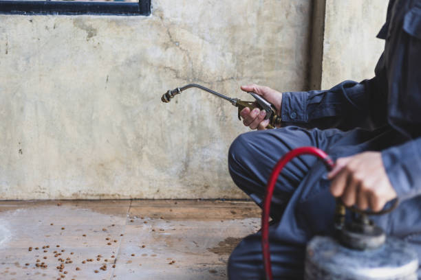 Best Local Pest Control Services  in Manhattan, KS